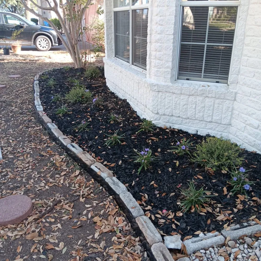 Custom lawn care service in Cedar Park, TX by The Zon Group