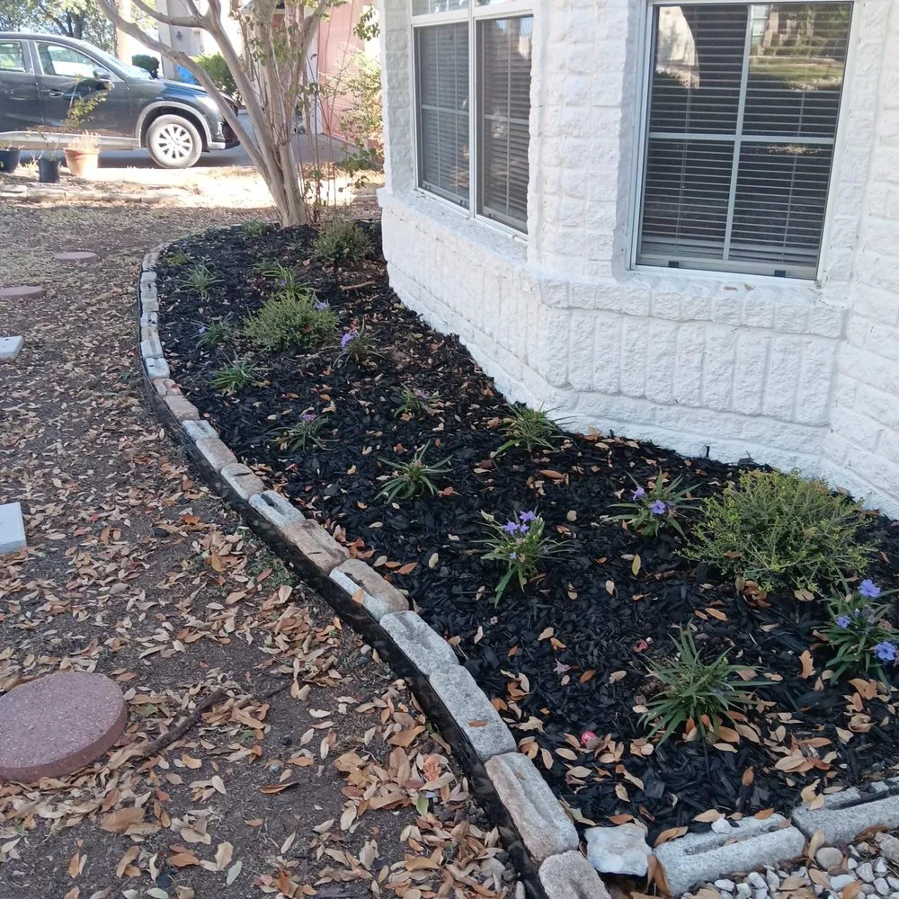 Expert yard cleanup service experts serving Cedar Park, TX - The Zon Group