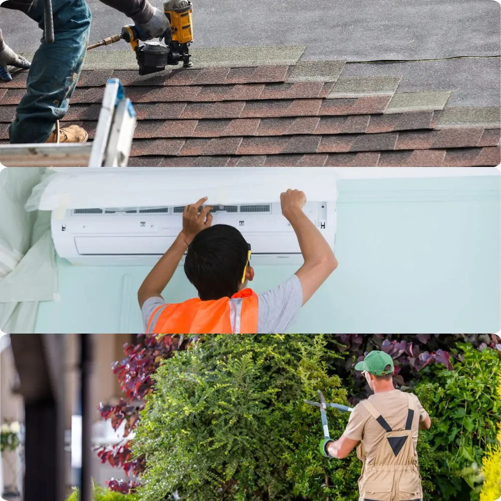 Affordable yard cleanup service experts serving Cedar Park, TX - The Zon Group