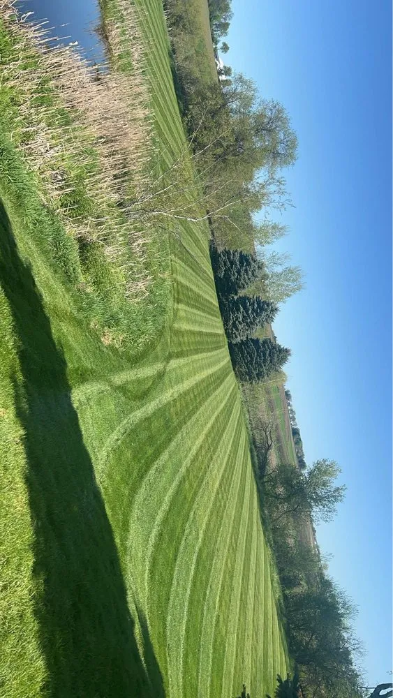 Custom lawn mowing service experts serving Madison, WI - The608LawnGuy
