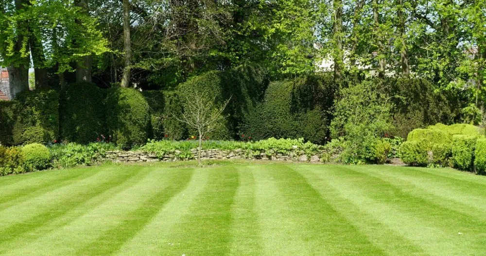 Top-rated garden landscaping with custom design in Altamonte Springs, FL by Theard Lawn