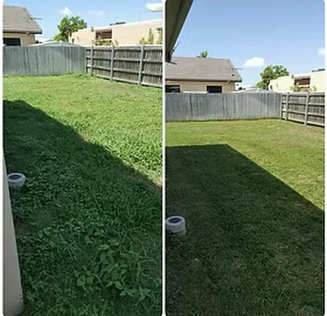 Reliable outdoor landscaping in Altamonte Springs, FL - Theard Lawn