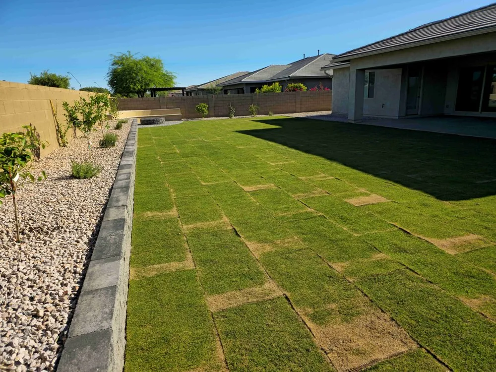 Trusted landscaping services in Mesa, AZ by TheHardworkers