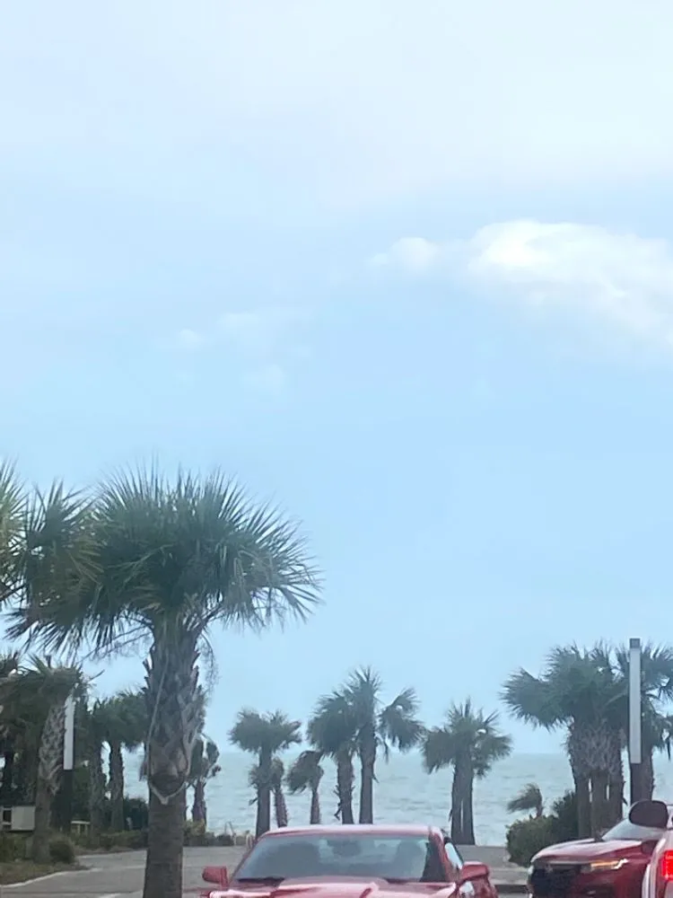 Custom landscape design for outdoor upgrades across Central, SC - The Hillbillies Removal