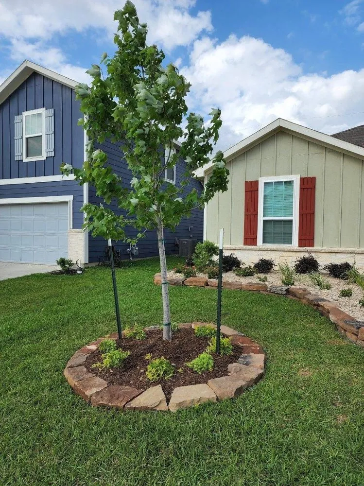Trusted yard maintenance in Hockley, TX by Theiss Landscape Works
