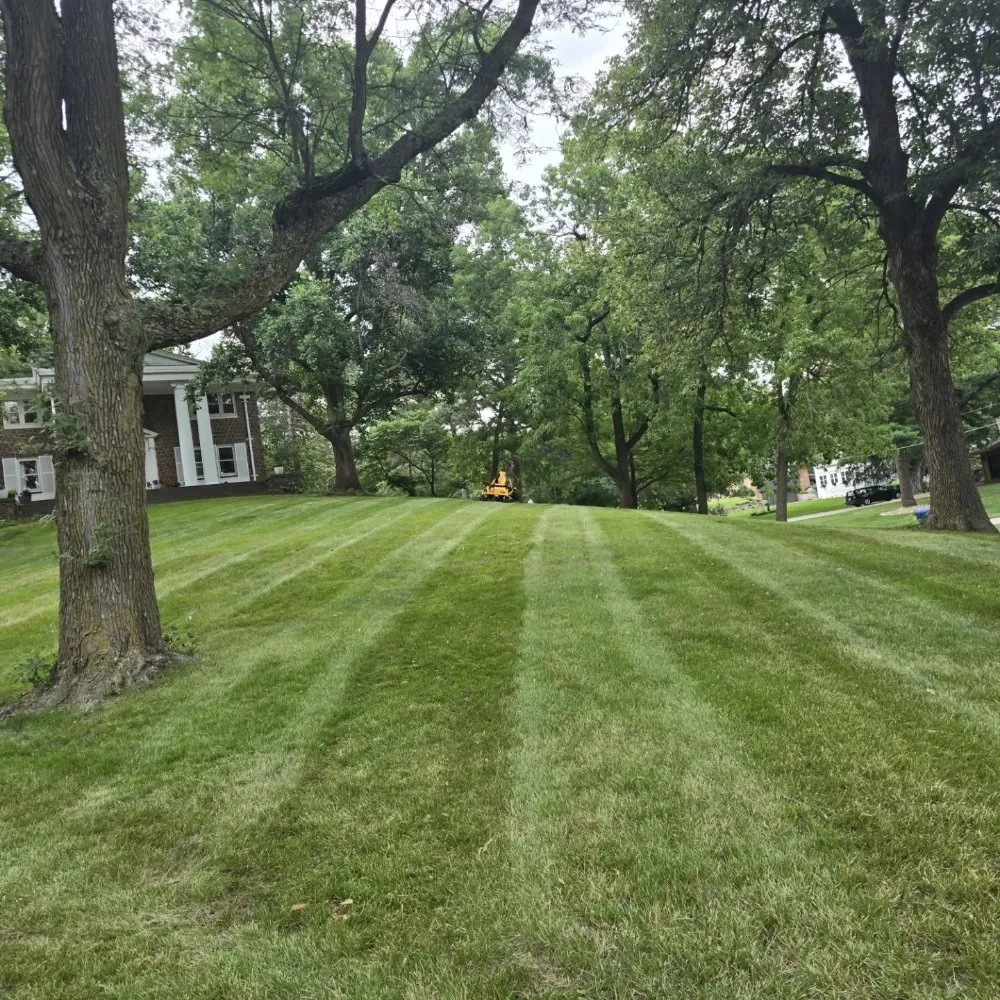 Top-rated residential landscaping experts serving Des Moines, IA - TheLawnNinja Lawn Services