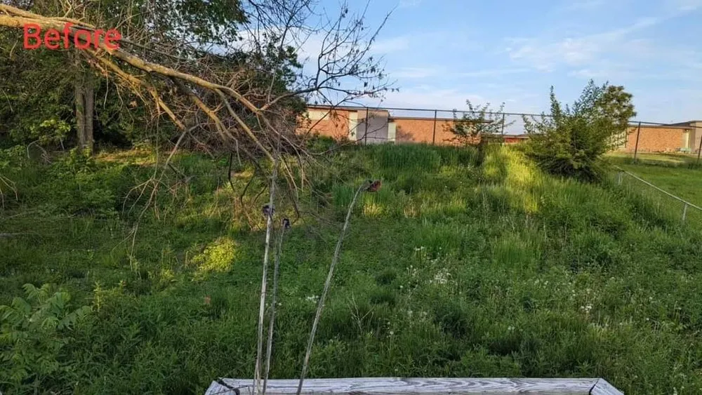 Custom lawn care service with custom design in Des Moines, IA by TheLawnNinja Lawn Services