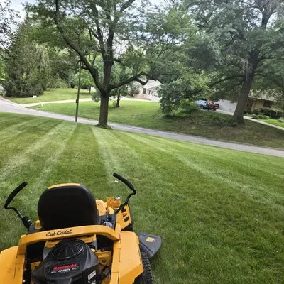 TheLawnNinja Lawn Services Logo