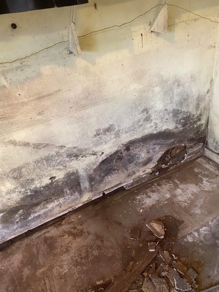 Trusted garden landscaping in Spartanburg, SC - Them Boys Handyman Service