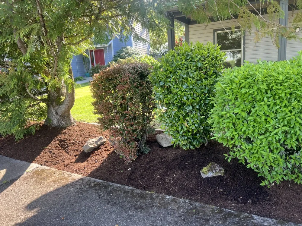 Top-rated landscaping services for beautiful yards across Monmouth, OR - TheMowCo