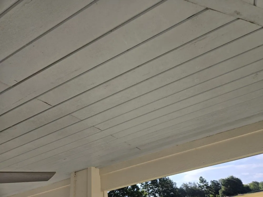 Top-rated landscaping services experts serving Mount Pleasant, TX - Thenicholsfamily