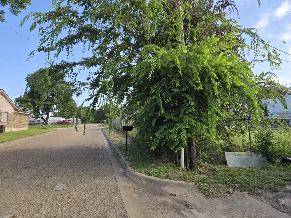 Expert lawn mowing service in Mount Pleasant, TX - Thenicholsfamily