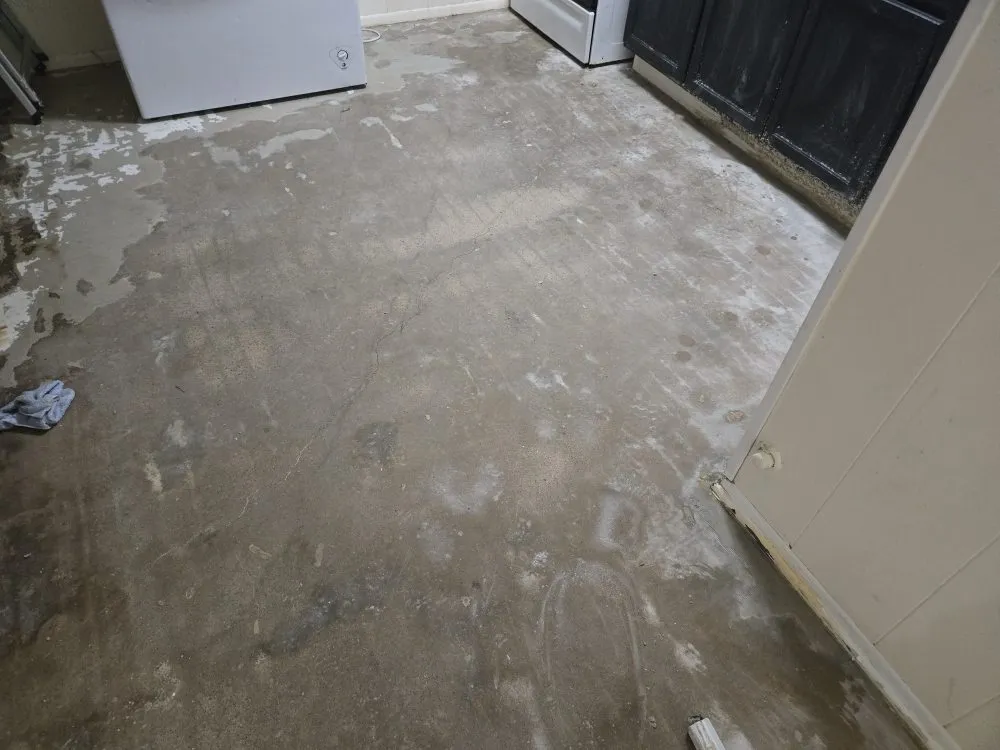 Trusted lawn care service near you across Mount Pleasant, TX - Thenicholsfamily