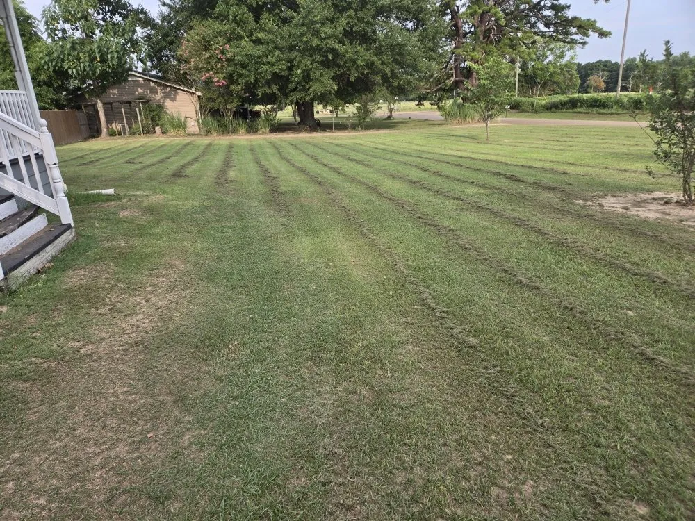 Expert outdoor landscaping in Mount Pleasant, TX by Thenicholsfamily