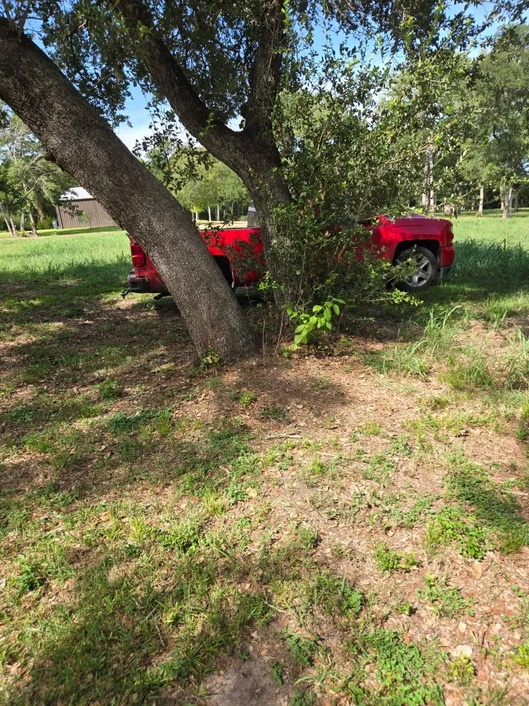 Reliable landscape installation in Mount Pleasant, TX by Thenicholsfamily