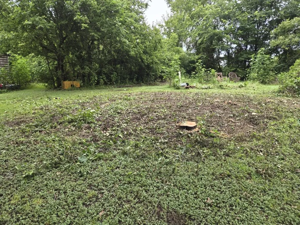 Custom outdoor landscaping for year-round maintenance in Mount Pleasant, TX by Thenicholsfamily