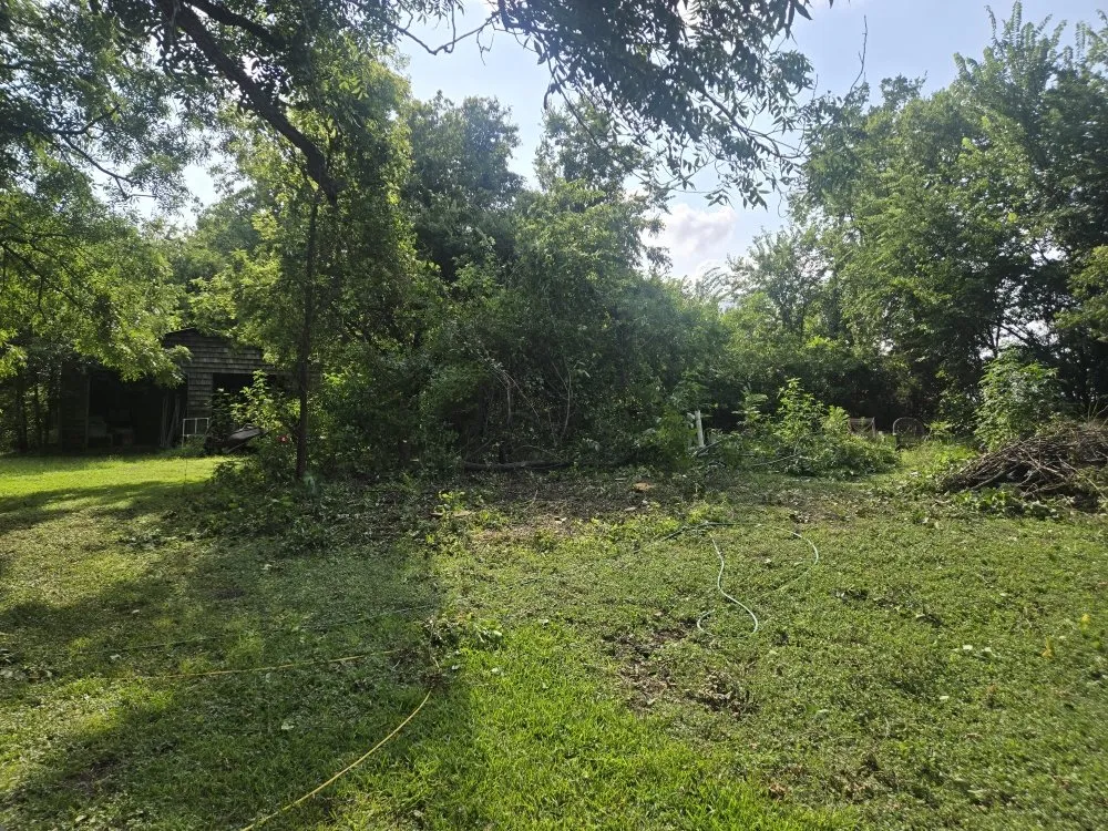 Trusted outdoor landscaping in Mount Pleasant, TX - Thenicholsfamily