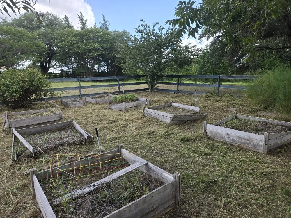 Professional residential landscaping in Mount Pleasant, TX - Thenicholsfamily