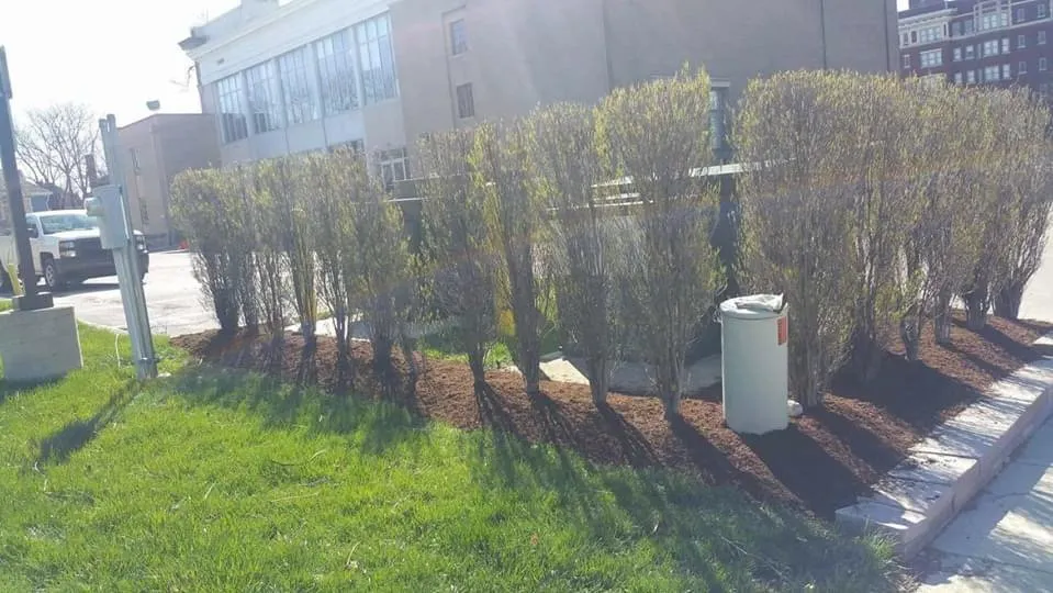 Affordable residential landscaping experts serving Lawrence, IN - T.Hensley Landscapes