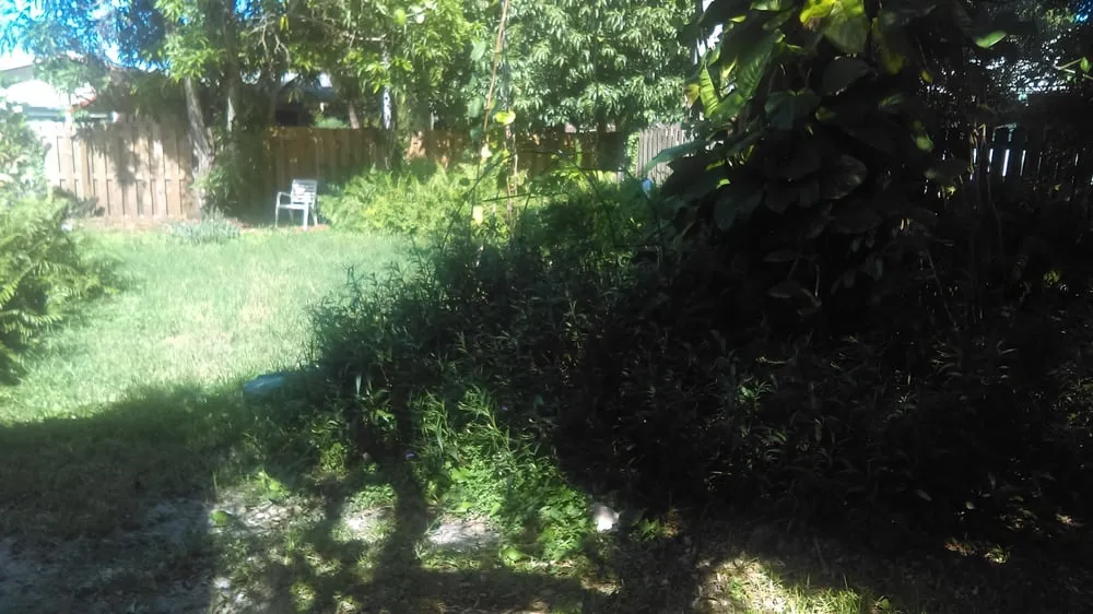 Trusted yard cleanup service near you in Jensen Beach, FL by Theobald Upkeep