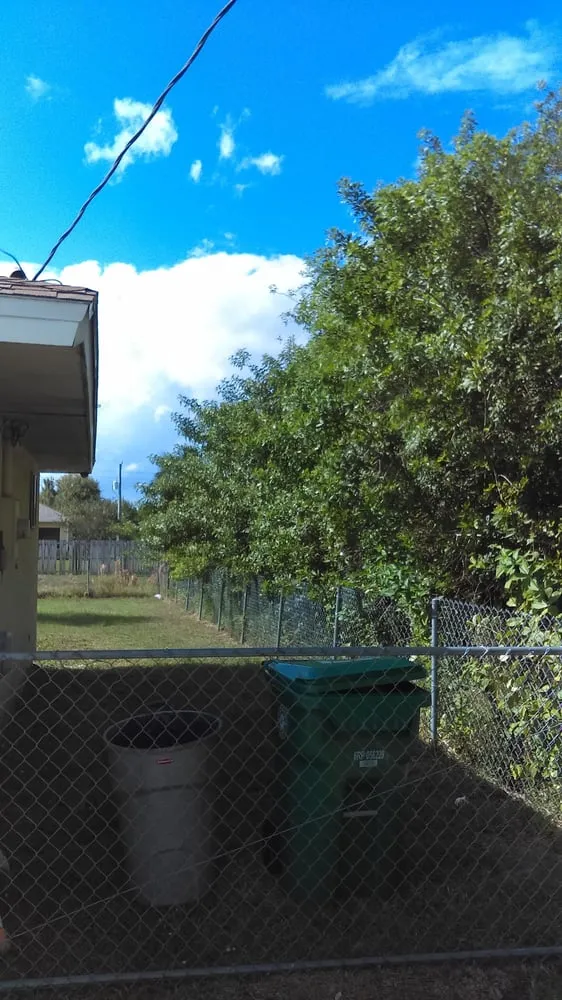 Reliable yard cleanup service near you across Jensen Beach, FL - Theobald Upkeep