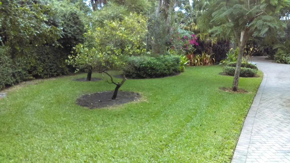 Top-rated yard maintenance in Jensen Beach, FL by Theobald Upkeep