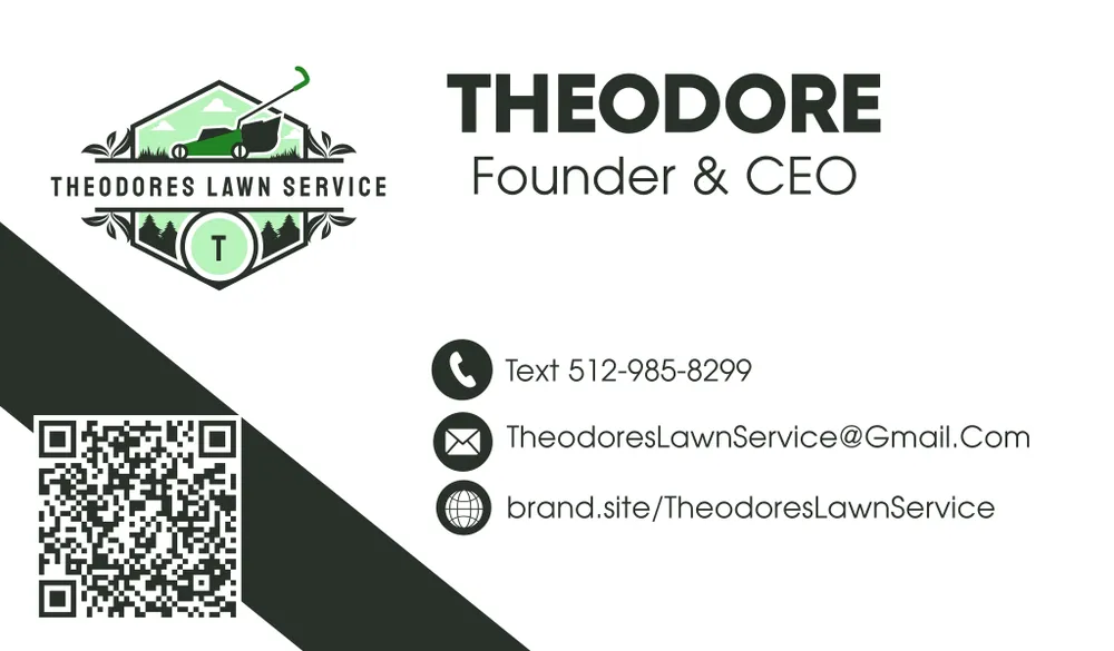 Reliable landscaping services for homes in Austin, TX by Theodores Lawn Service