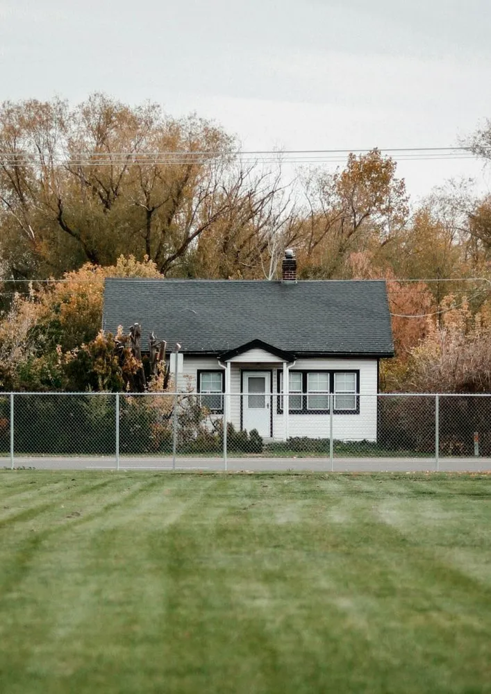 Custom yard cleanup service experts serving Austin, TX - Theodores Lawn Service