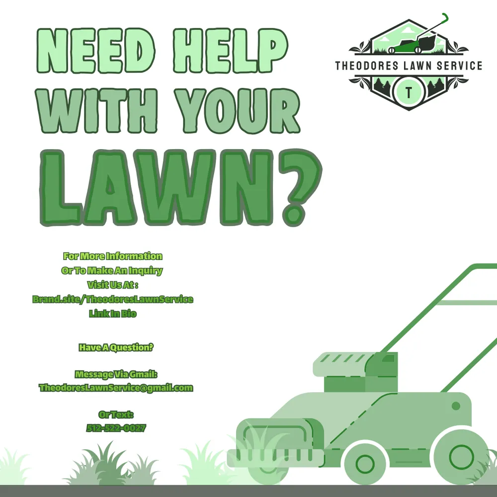 Custom yard cleanup service in Austin, TX by Theodores Lawn Service