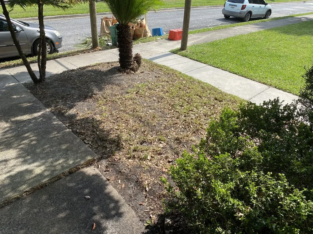 Affordable yard cleanup service in Gainesville, FL by Theo's Lawn Maintenance