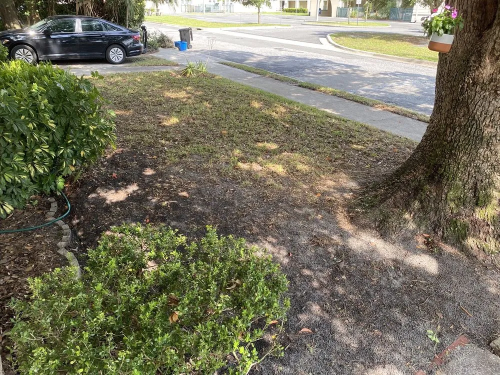 Local lawn care service near you in Gainesville, FL by Theo's Lawn Maintenance
