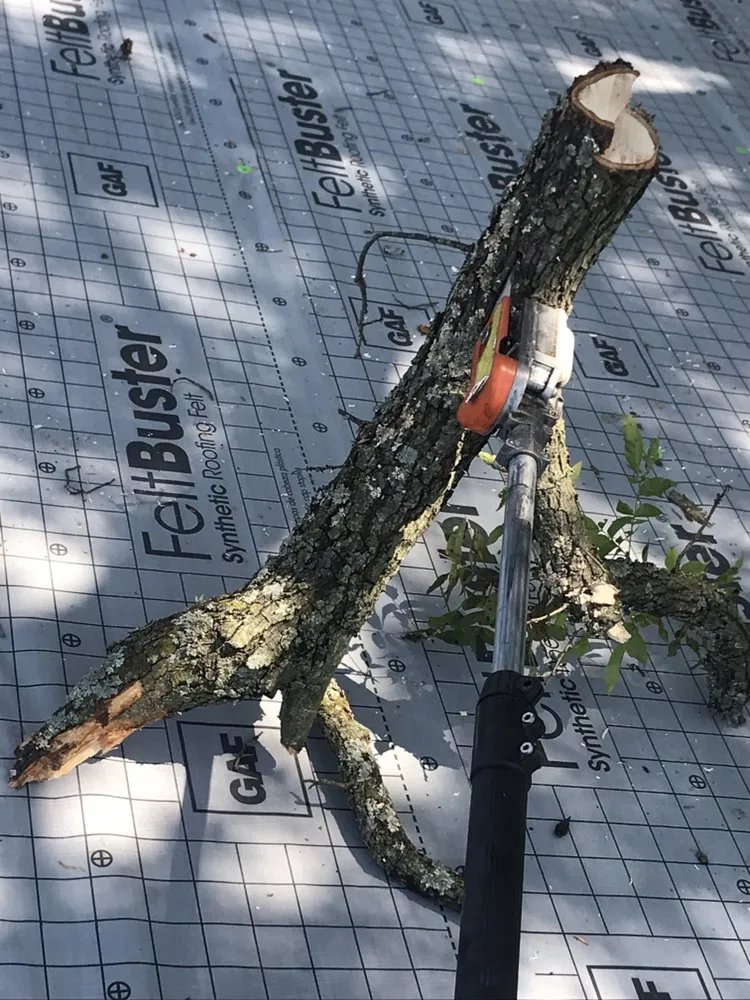 Trusted residential landscaping near you across Dallas, TX - ThePoseyTree Svc Landscape & Mowing