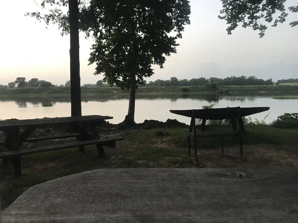 Trusted lawn mowing service for residential properties across Dallas, TX - ThePoseyTree Svc Landscape & Mowing