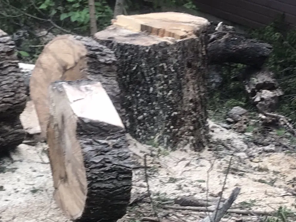 Custom residential landscaping for outdoor upgrades across Dallas, TX - ThePoseyTree Svc Landscape & Mowing