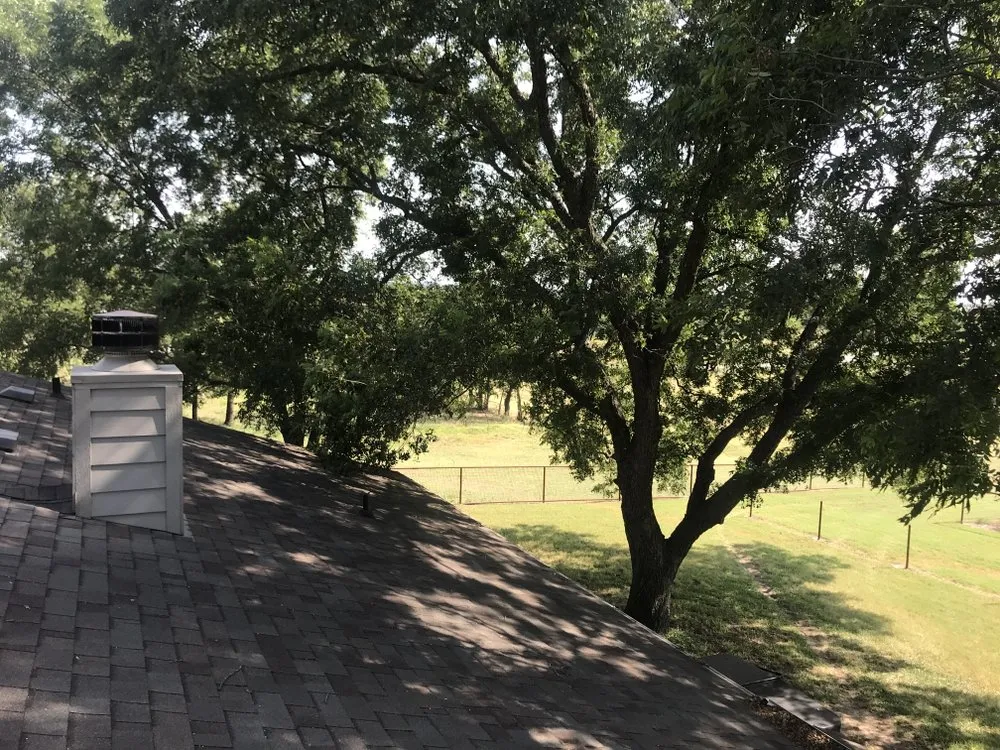 Reliable lawn mowing service for homes across Dallas, TX - ThePoseyTree Svc Landscape & Mowing