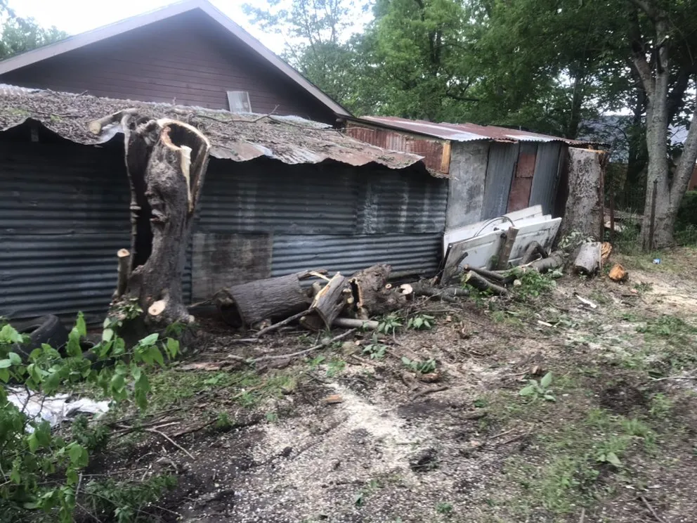 Local landscape design in Dallas, TX - ThePoseyTree Svc Landscape & Mowing