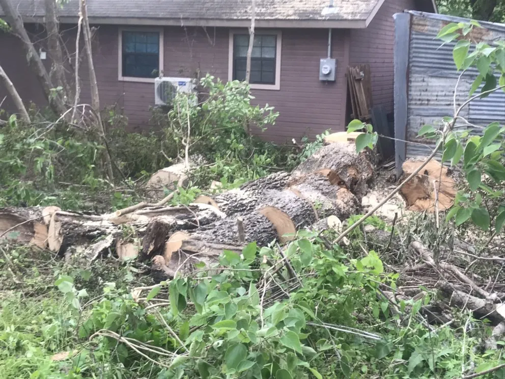 Affordable residential landscaping in Dallas, TX by ThePoseyTree Svc Landscape & Mowing