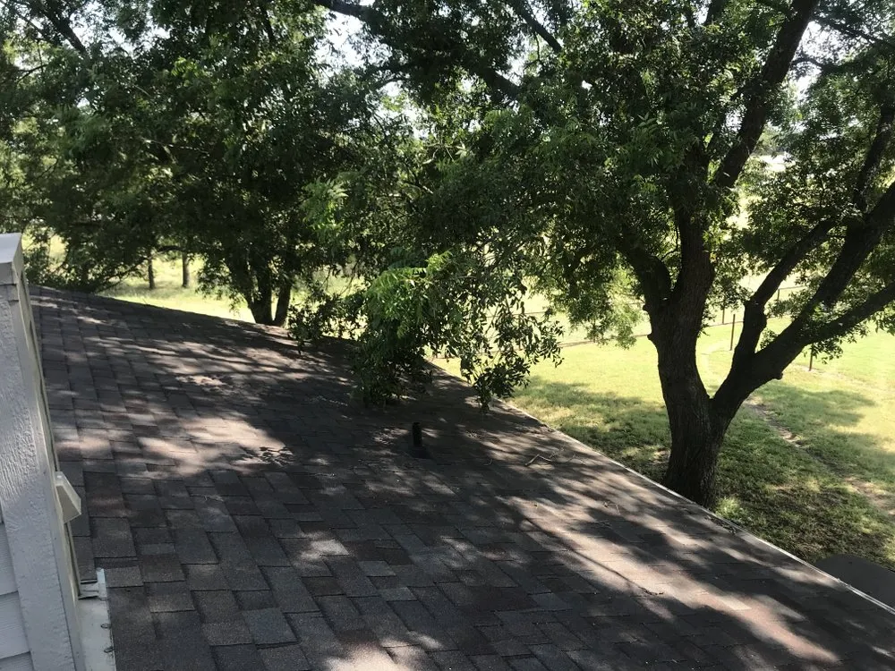 Custom residential landscaping for residential properties across Dallas, TX - ThePoseyTree Svc Landscape & Mowing