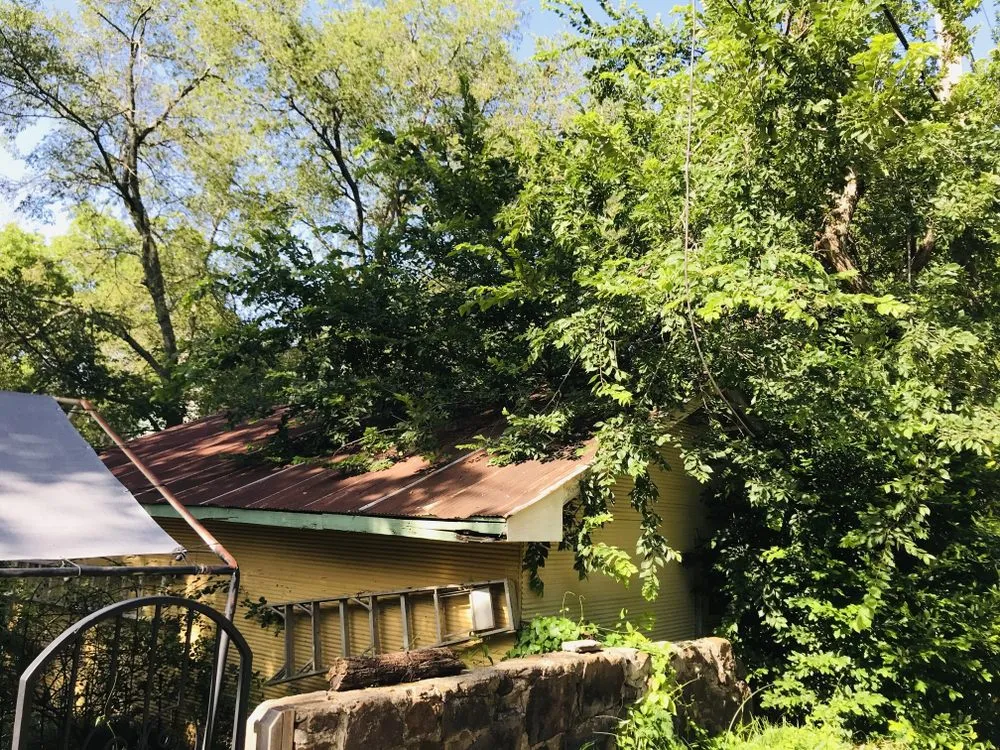 Professional landscaping services in Dallas, TX by ThePoseyTree Svc Landscape & Mowing