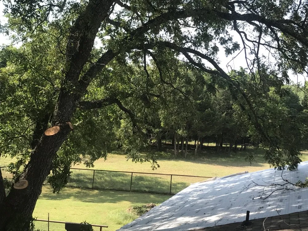 Reliable residential landscaping for outdoor upgrades in Dallas, TX by ThePoseyTree Svc Landscape & Mowing