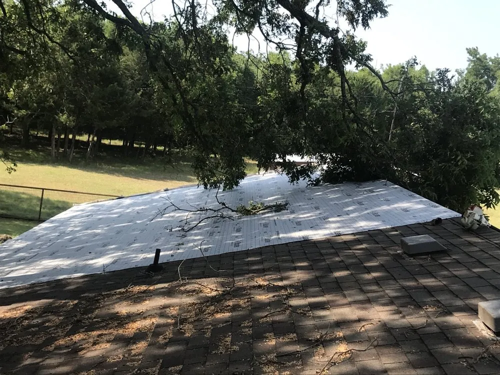 Affordable landscaping services for beautiful yards in Dallas, TX by ThePoseyTree Svc Landscape & Mowing