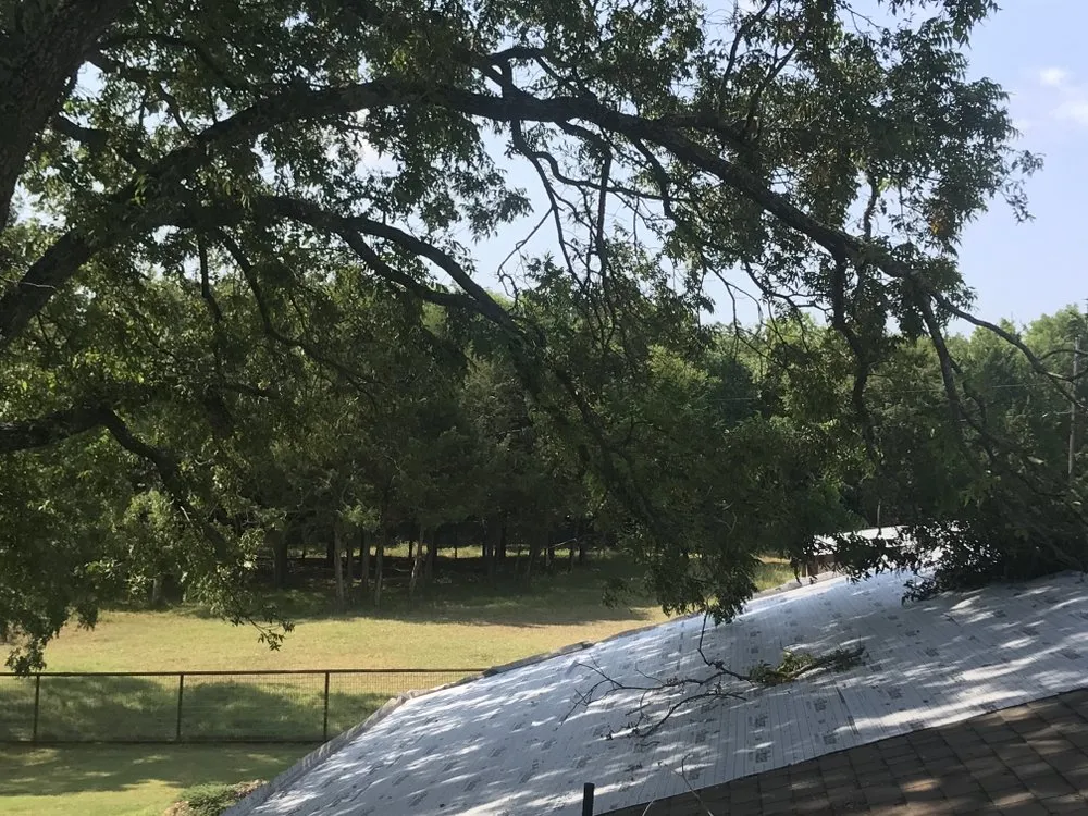 Custom landscape installation in Dallas, TX - ThePoseyTree Svc Landscape & Mowing