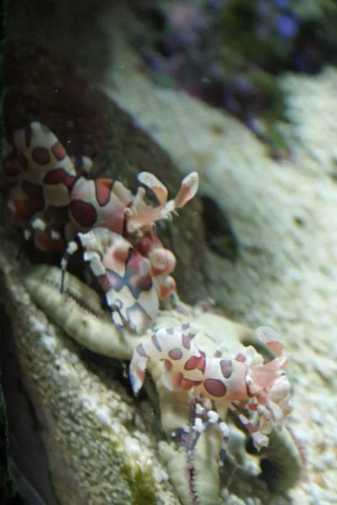 Trusted landscaping services experts serving Washington, NJ - Therapy Care Cleaning