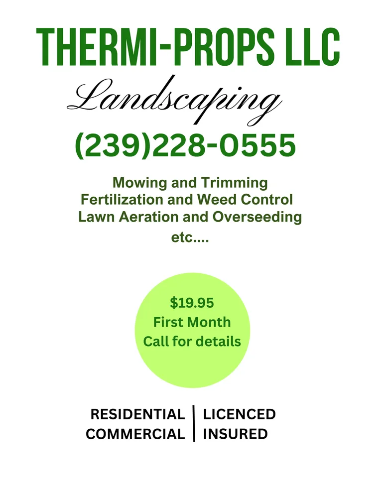 Reliable yard cleanup service for homes across Naples, FL - Thermi Props