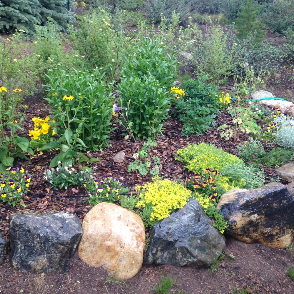 Affordable lawn mowing service for homes in Breckenridge, CO by Thetfordlandscaping and Irrigation