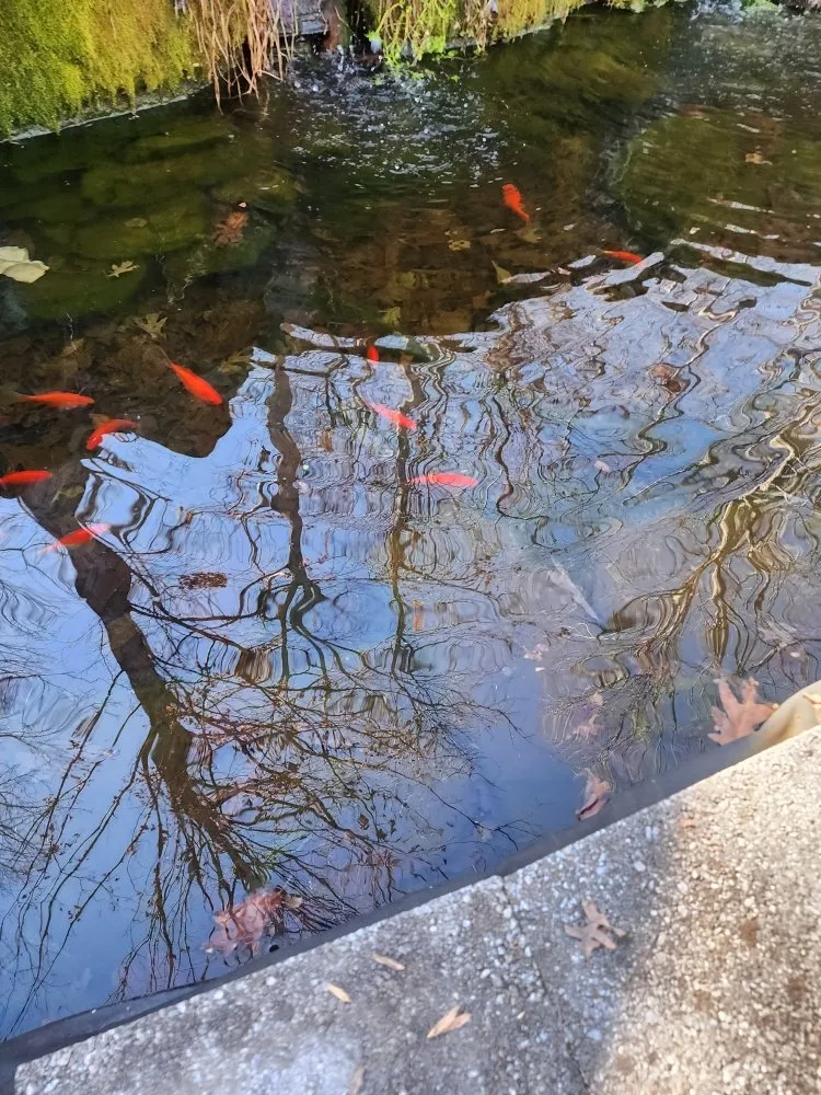 Local landscape design near you across Anderson, SC - They See Me Mowing