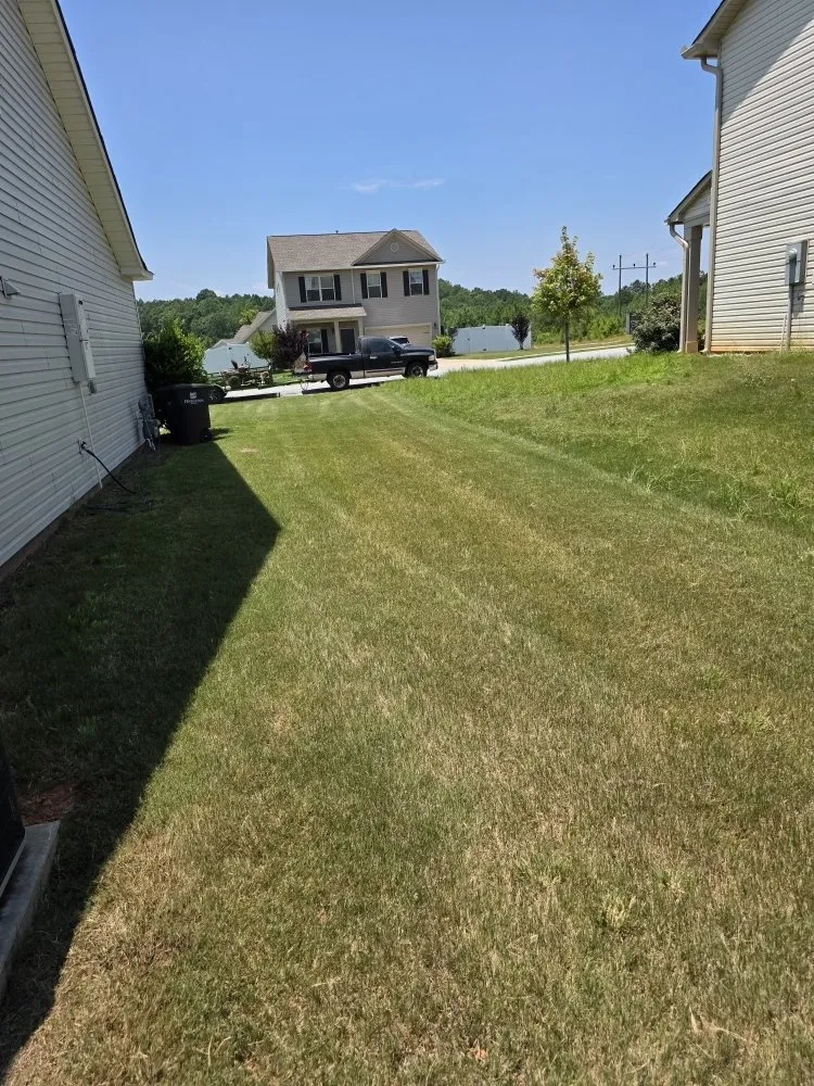 Expert landscape design experts serving Anderson, SC - They See Me Mowing