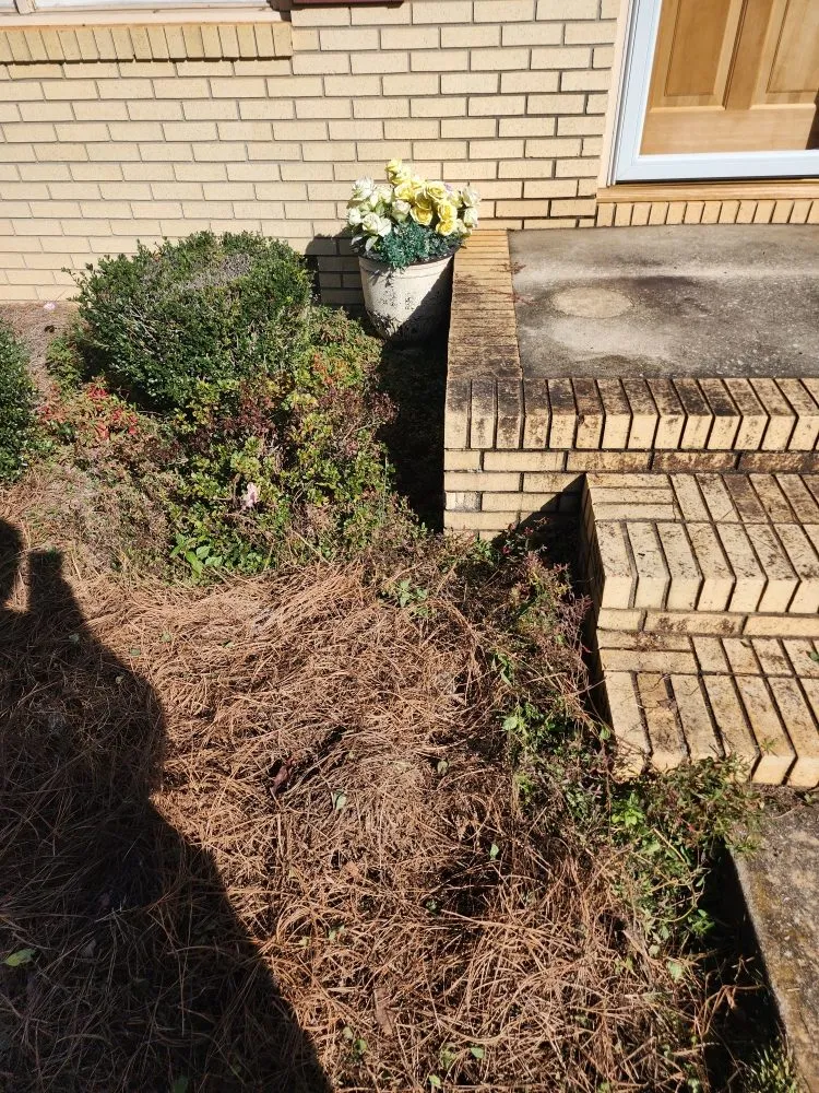 Expert outdoor landscaping for year-round maintenance in Anderson, SC by They See Me Mowing