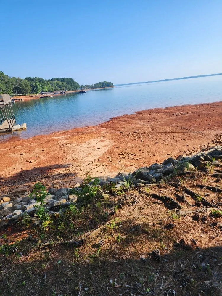 Custom yard cleanup service in Anderson, SC - They See Me Mowing