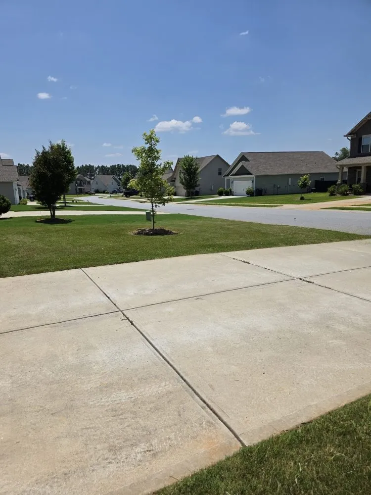 Expert lawn mowing service near you in Anderson, SC by They See Me Mowing